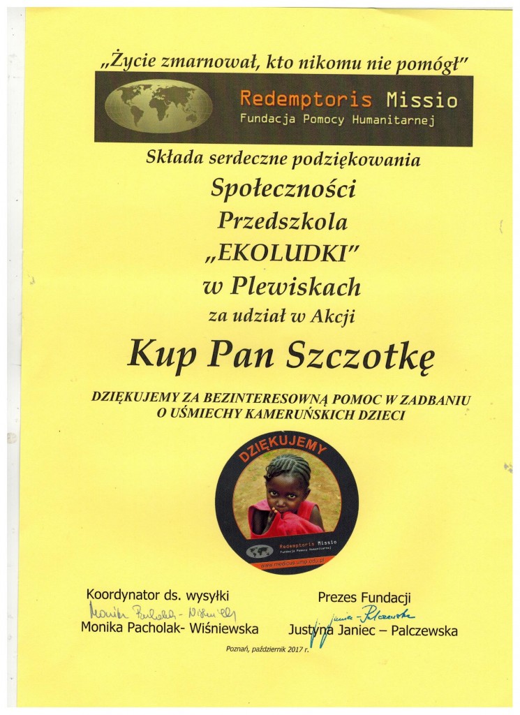 kup pa szczotkę